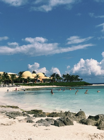 The beach with some rocks ashore. There is a yellow domed roof peeking through palm trees in the background.